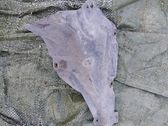 Front underbody cover/under tray