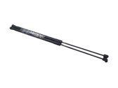 Tailgate/trunk strut/damper
