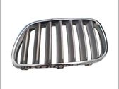 Front bumper lower grill