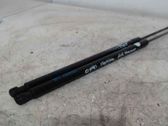 Tailgate/trunk strut/damper