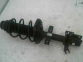 Front coil spring