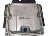 Engine control unit/module ECU