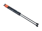 Tailgate/trunk strut/damper