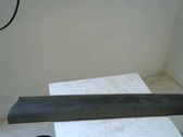Front door trim (molding)
