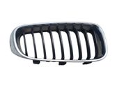 Front bumper lower grill