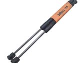Tailgate/trunk strut/damper