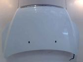 Motorhaube
