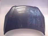 Engine bonnet/hood