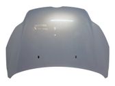 Engine bonnet/hood