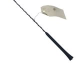 Radio antenna