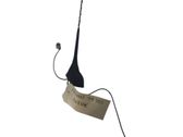 Radion antenni