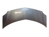 Engine bonnet/hood