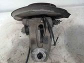 Rear wheel hub