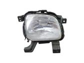 Front fog light