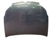 Engine bonnet/hood