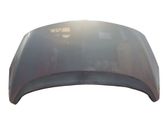Engine bonnet/hood