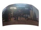 Engine bonnet/hood
