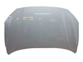 Engine bonnet/hood