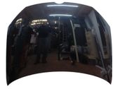 Engine bonnet/hood