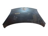Engine bonnet/hood
