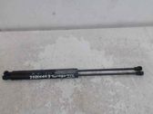 Tailgate/trunk strut/damper