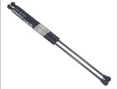 Tailgate/trunk strut/damper