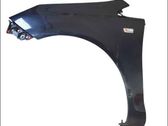 Fender