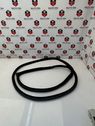 Front door rubber seal