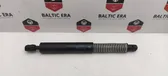 Tailgate/trunk strut/damper