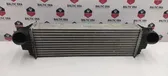 Intercooler radiator