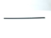 Front door trim (molding)