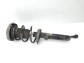 Front shock absorber with coil spring