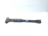 Rear shock absorber/damper
