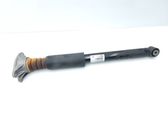 Rear shock absorber/damper