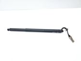 Tailgate/trunk strut/damper