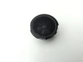 Front door high frequency speaker