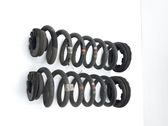 Rear coil spring