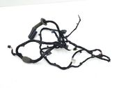 Front door wiring loom