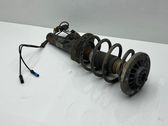 Front shock absorber with coil spring