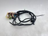 Cableado de la caja de cambios/transmisión