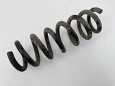 Muelle espiral trasero