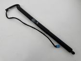 Tailgate/trunk strut/damper