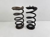 Rear coil spring