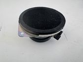 Front door high frequency speaker