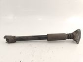 Stoßdämpfer hinten