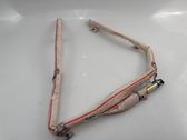 Roof airbag
