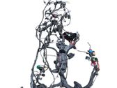 Other wiring loom