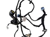 Rear door wiring loom