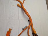 Other wiring loom