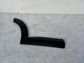 Listón embellecedor de la puerta delantera (moldura)
